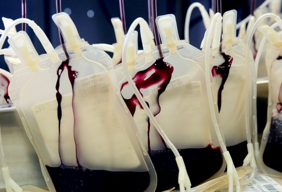 Японские ученые планируют к 2020 году начать массовое производство искусственной крови