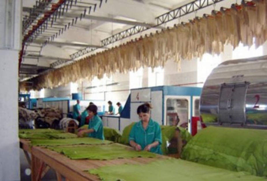 Toxuculuq sənayesi və ayaqqabıların istehsalı sahələrində 43 milyon manat dəyərində məhsul istehsal edilib