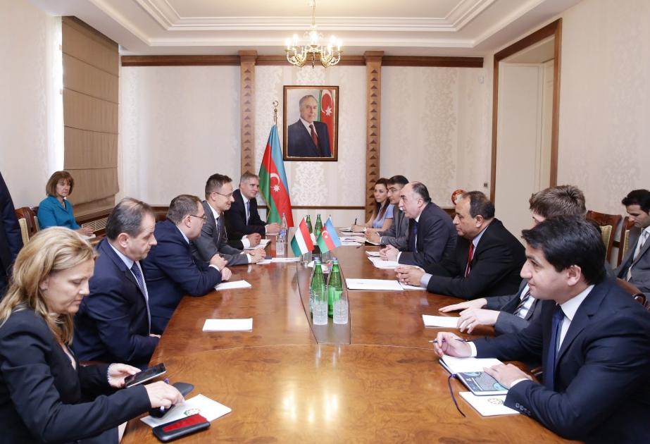 Azerbaijani FM meets Hungarian counterpart