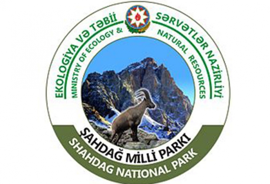 Сотрудник Шахдагского национального парка был избит 4 нарушителями закона