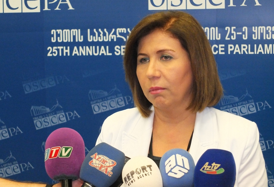 巴哈尔•穆拉多娃表示：欧安组织议会大会委员会会议就重要问题进行探讨