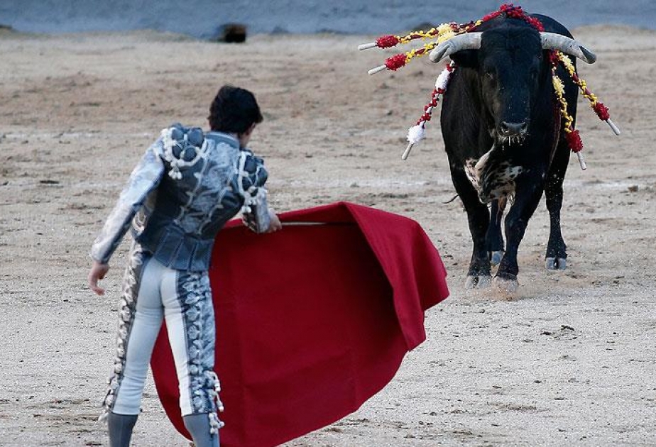 Bull kills matador Victor Barrio in Spain