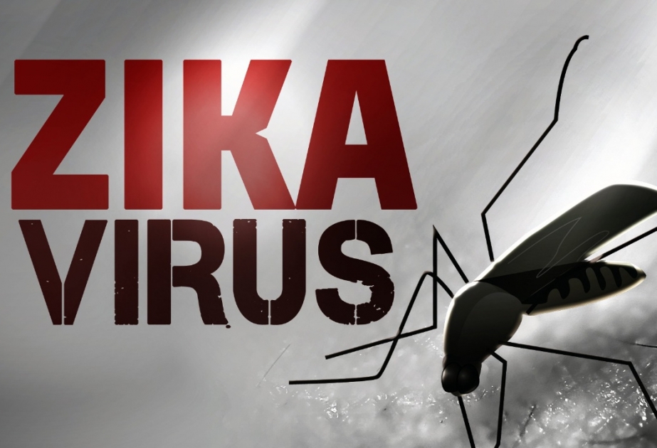 Zika-Virus: Erstmals infiziert eine Frau einen Mann