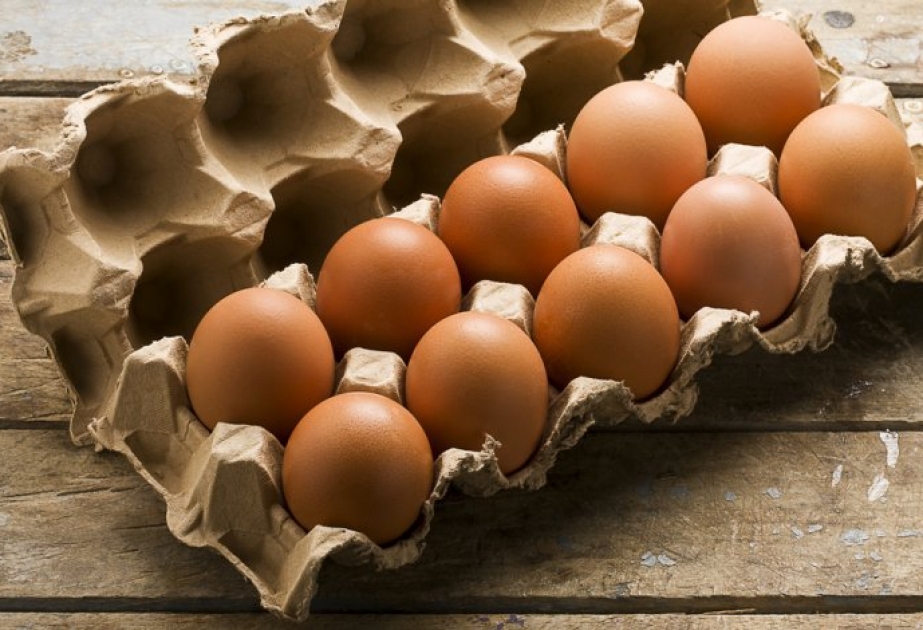 Kənd Təsərrüfatı Nazirliyi: İdxal olunan yumurtalarda xəstəlik törədiciləri aşkarlanmayıb