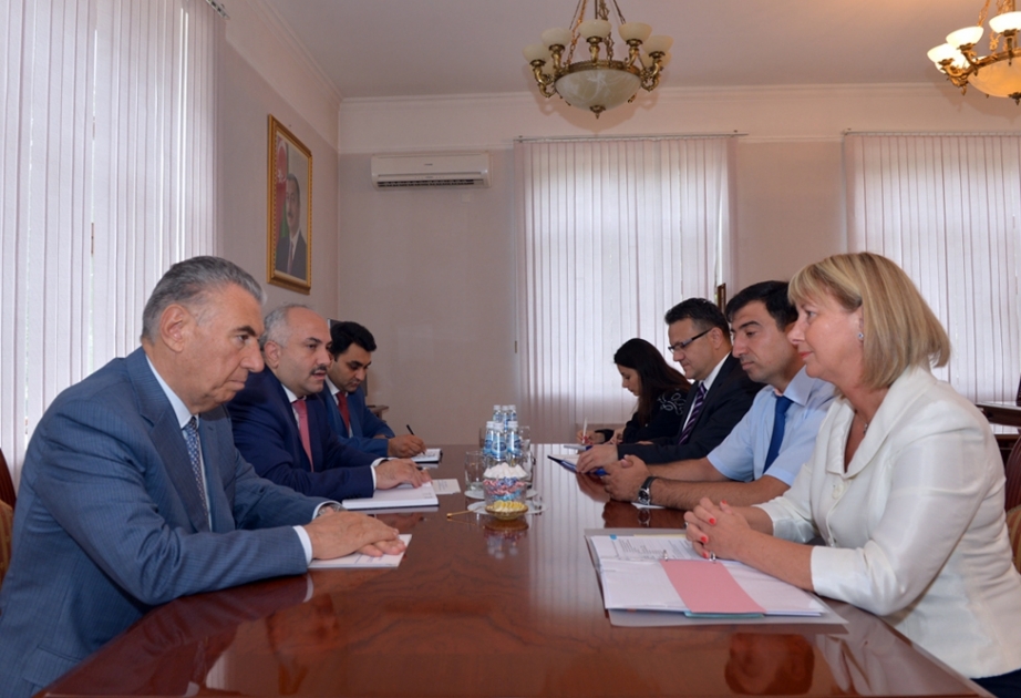 Аргентина Сабадош: Международная организация по миграции придает большое значение сотрудничеству с правительством Азербайджана