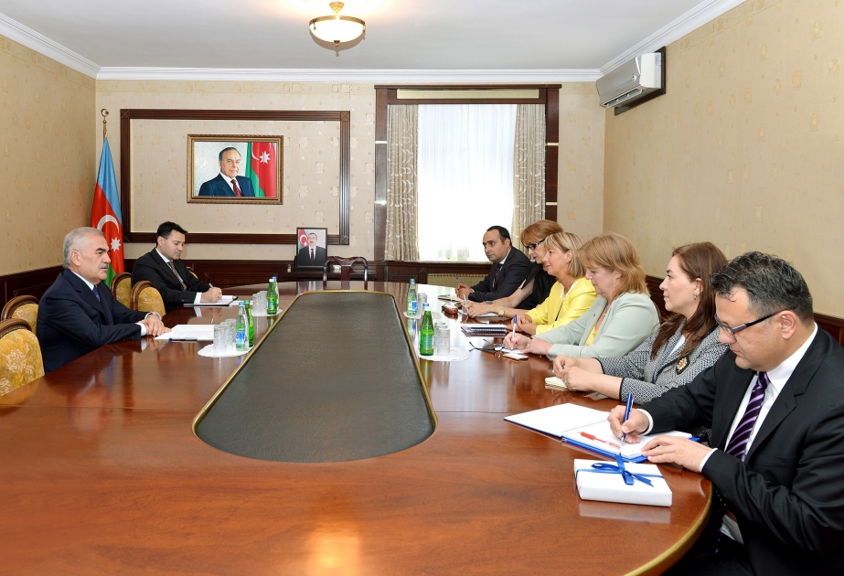Chairman of Supreme Assembly of Nakhchivan meets IOM`s Regional Director for South-Eastern Europe, Eastern Europe and Central Asia