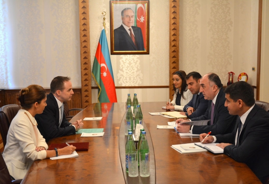 爱德华·卡尔瓦金：阿塞拜疆在儿童和青年政策方面取得了巨大进展