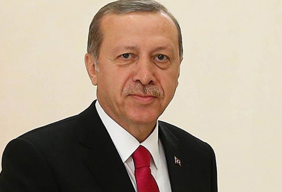 土耳其总统开始对俄罗斯进行访问