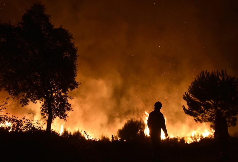 Waldbränden auf Madeira: drei Tote