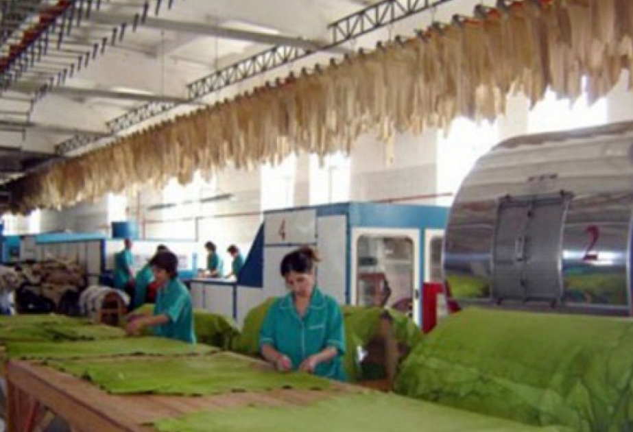 Toxuculuq sənayesi və ayaqqabı istehsalı sahələrində 63,4 milyon manatlıq məhsul istehsal edilib