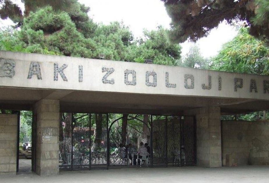 Bakı Zooloji Parkı dizaynerlər üçün müsabiqə elan edir