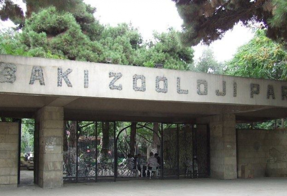 Бакинский зоопарк объявляет конкурс для дизайнеров