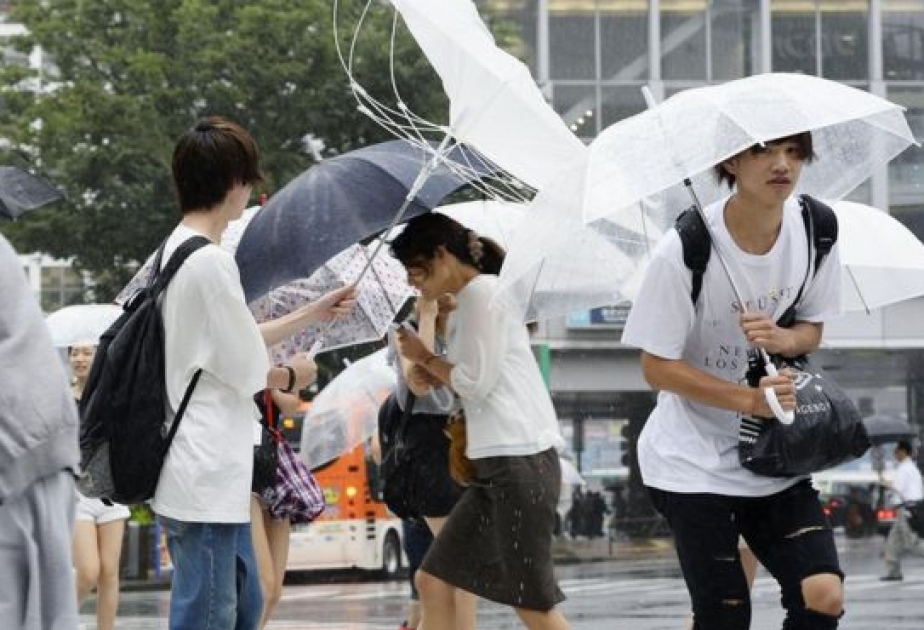 Сотни авиарейсов отменены в Японии из-за тайфуна «Миндуль»