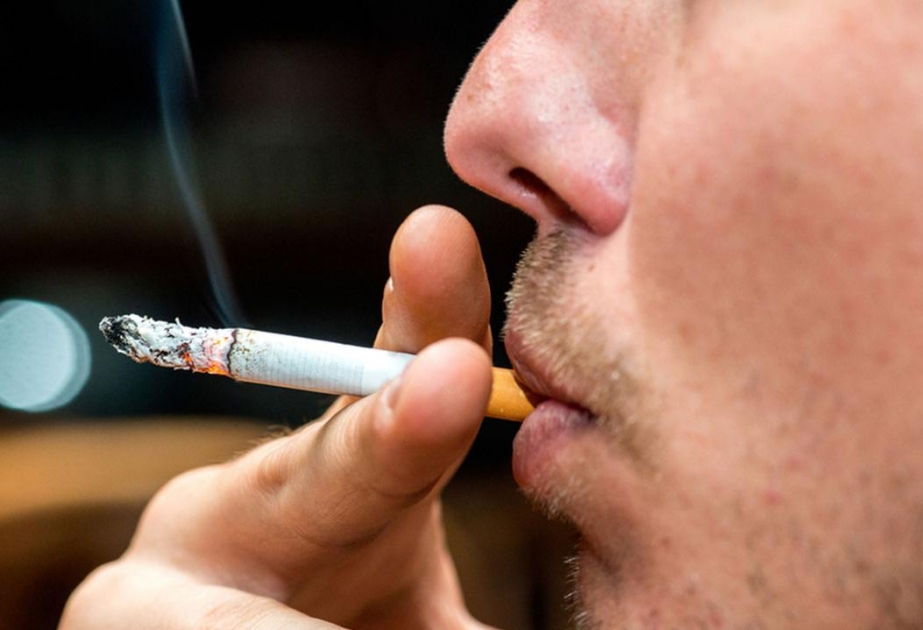 Правительство Дании объявило о планах по ограждению молодых людей от табачного дыма