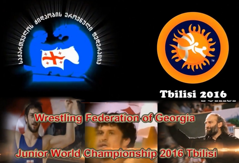 Junior Azerbaijani wrestler wins world bronze