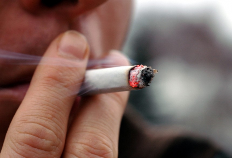 Forscher analysieren Nikotinverlangen von Rauchern