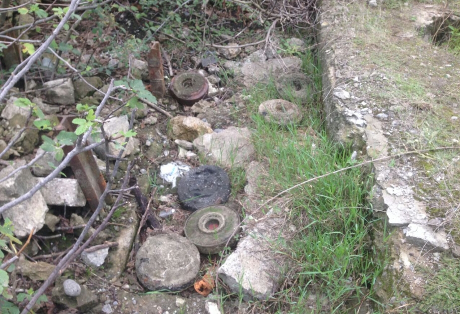 В Лянкярани обнаружено 6 неразорвавшихся противотанковых мин