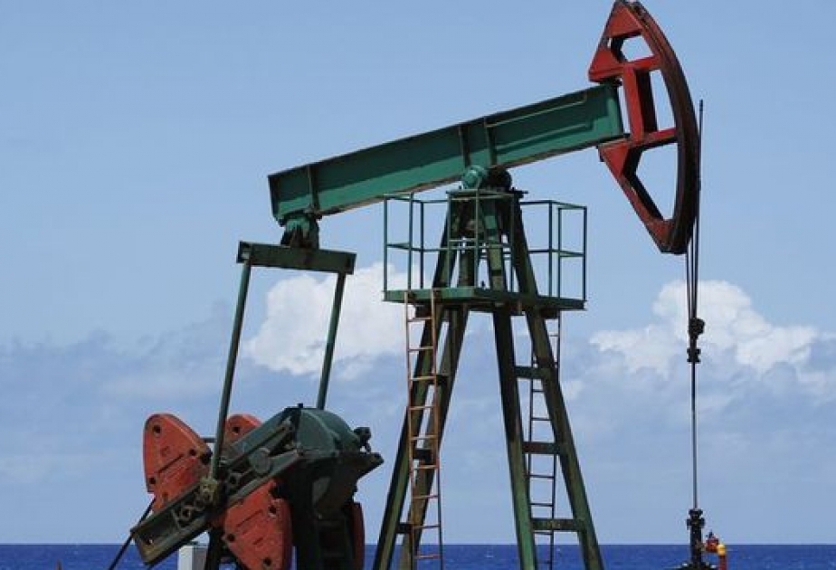 OPEC plans fresh oil price talks says energy minister