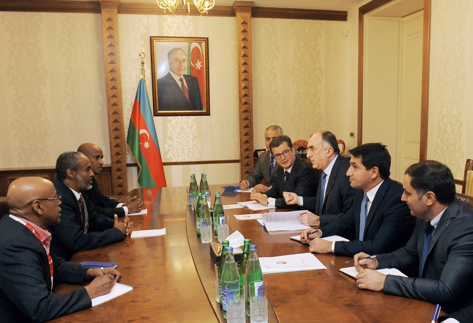 Azerbaijan`s FM meets Minister of Defence of Djibouti