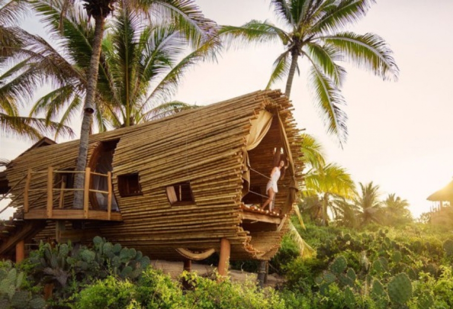 Ağac üstündə bambuq ev