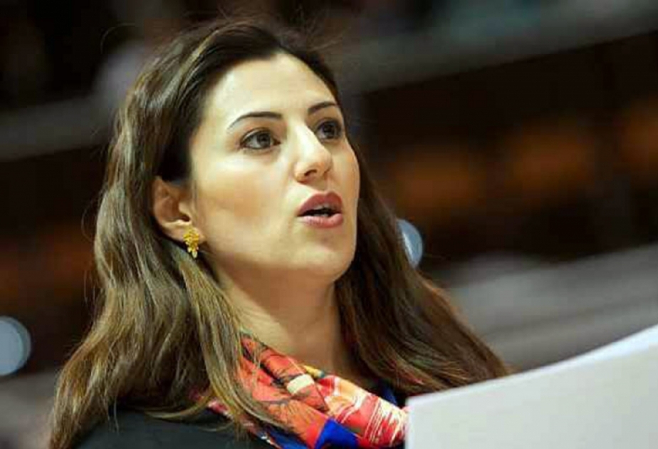 阿塞拜疆国民议会议员当选欧洲委员会议会大会欧洲社会宪章小组委员会主席