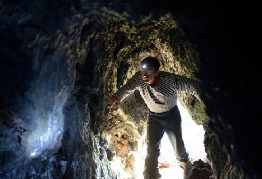 В испанской пещере обнаружены наскальные рисунки возрастом 14 тысяч лет