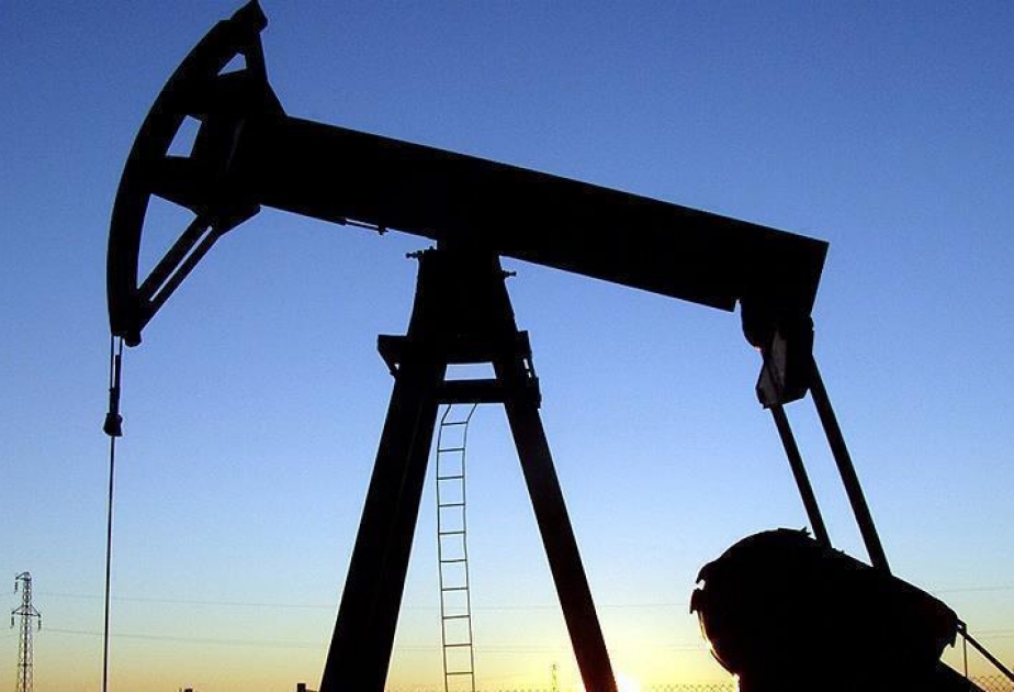 ABŞ-ın Enerji İnformasiya Administrasiyası: OPEC ölkələrindən neft idxalı artıb