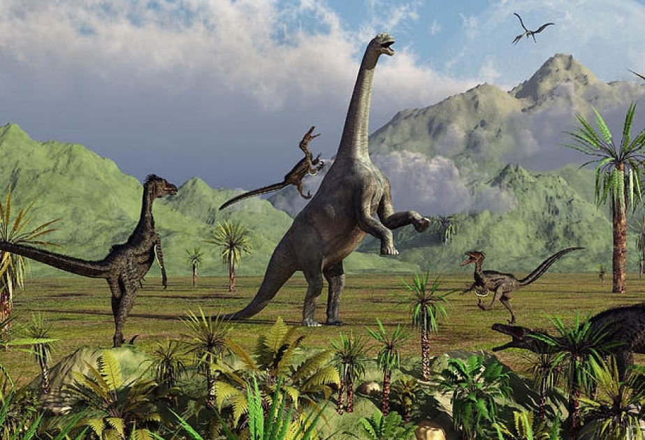 Ученые выяснили, что динозавры жили стаями