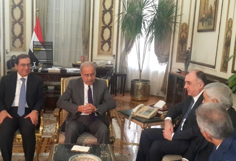 Azerbaijan`s FM meets Egyptian Prime Minister