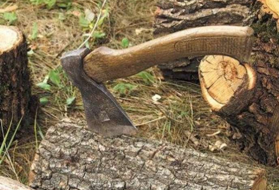 Факт вырубки деревьев в Наримановском районе незамедлительно расследован