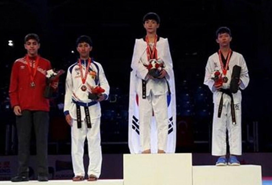 Junior Azerbaijani taekwondo fighter wins world bronze