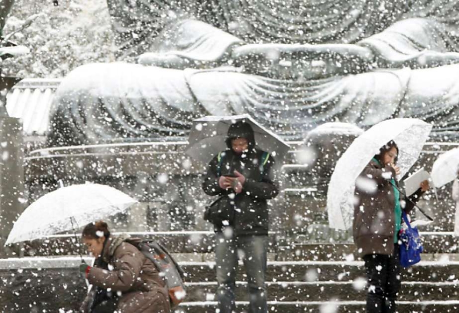 Erster November-Schnee in Tokio seit 54 Jahren
