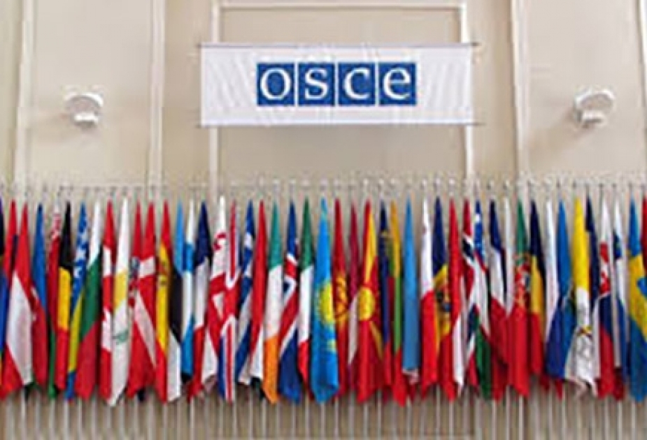 15 министров стран-членов ОБСЕ обеспокоены гонкой вооружений