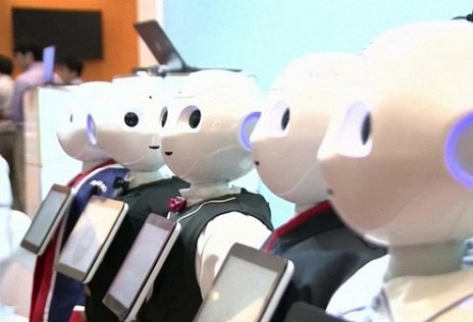 В Японии выбрали место проведения Всемирного саммита роботов