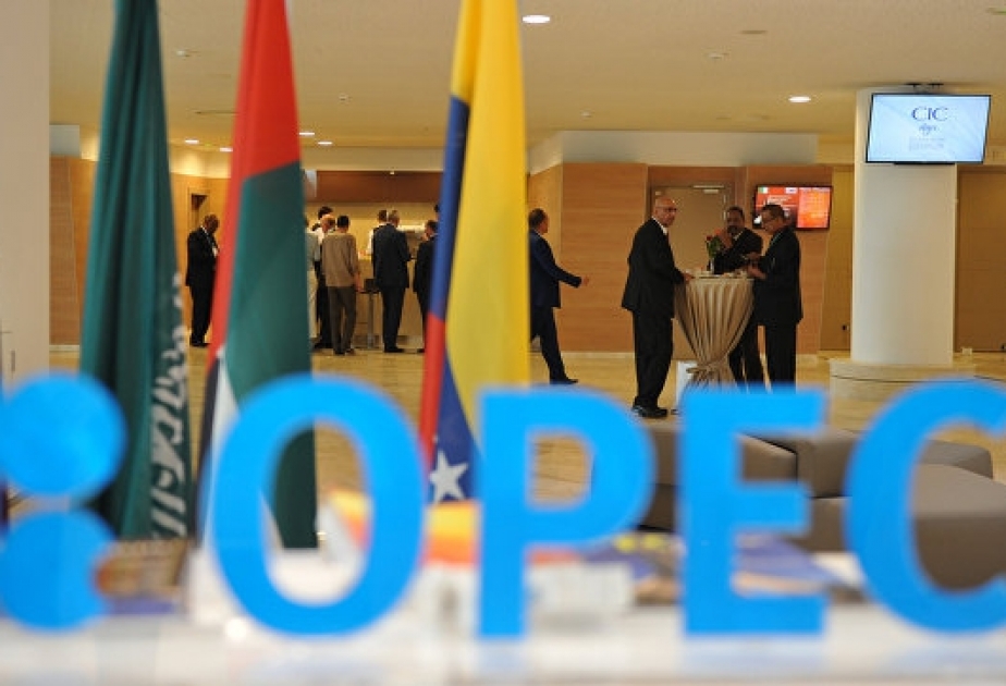 Məhəmməd Barkindo: Vyana görüşündə 14 qeyri-OPEC ölkəsi iştirak edəcək