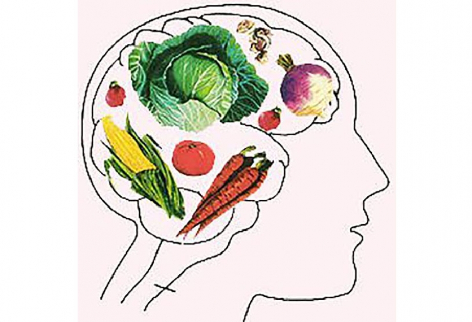 Вегетарианская пища вредна для головного мозга