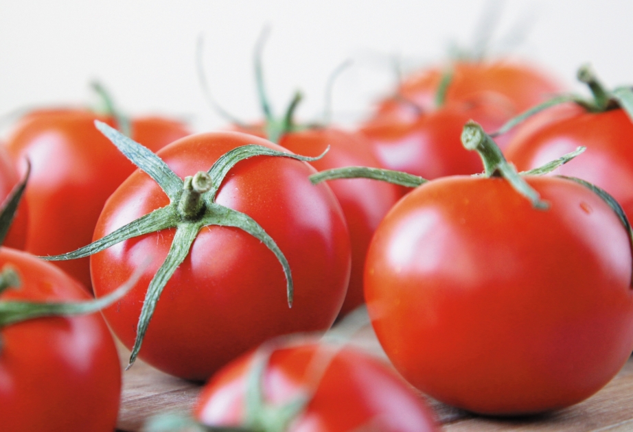 Ötən il Azərbaycan Rusiyaya 106 min ton pomidor tədarük edib