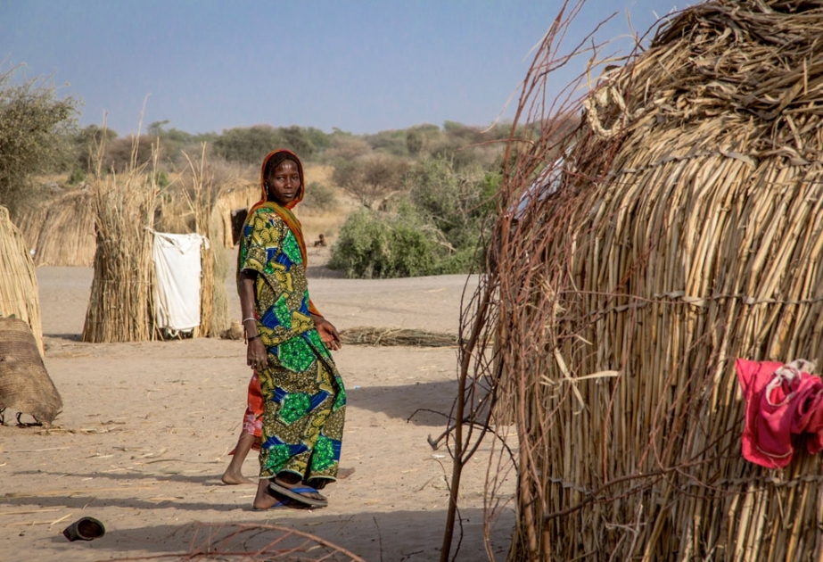 Более семи миллионов жителей стран бассейна озера Чад страдают от недоедания
