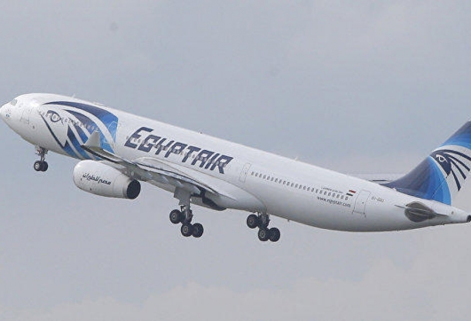 EgyptAir приостанавливает отправку в США иммигрантов из семи стран
