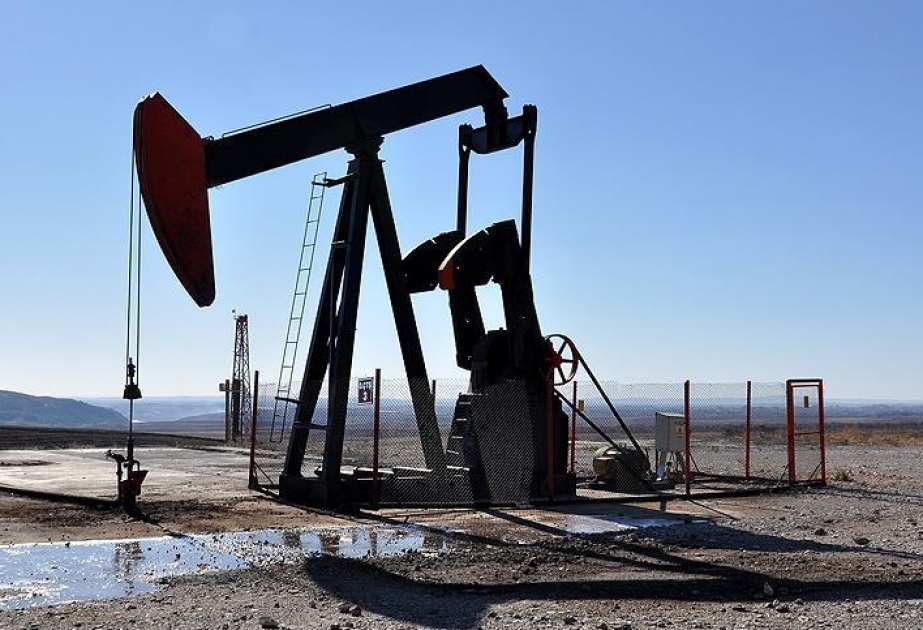 Turkish Petroleum hits production record