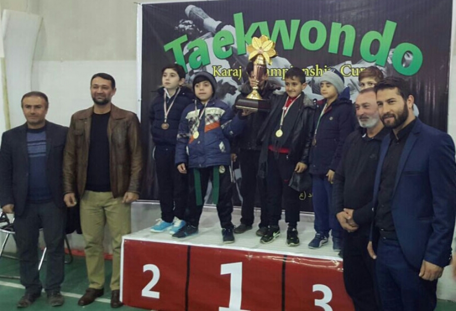 Yeniyetmə taekvandoçularımız İranda beynəlxalq turnirdə 7 medal qazanıblar
