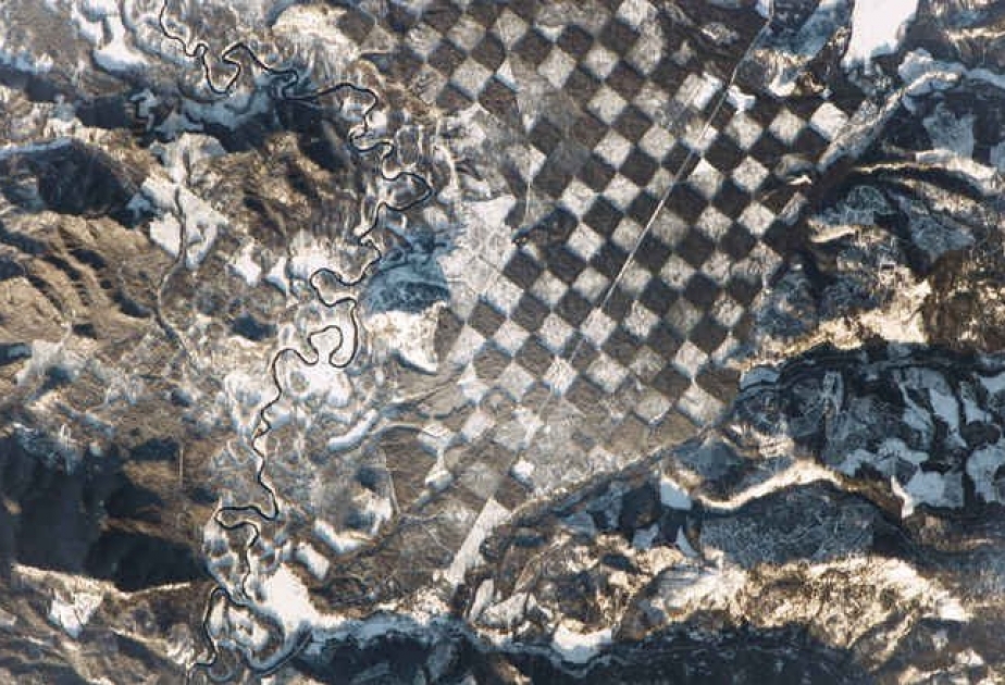 Астронавты NASA запечатлили «шахматную доску» из вырубленного леса в США