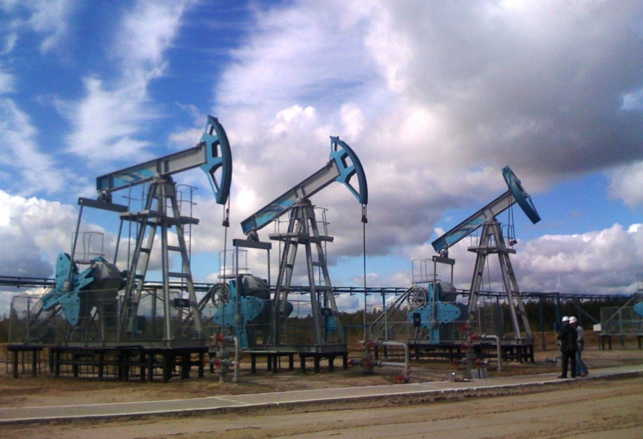 Добыча нефти ОПЕК упала на миллион баррелей в день в январе