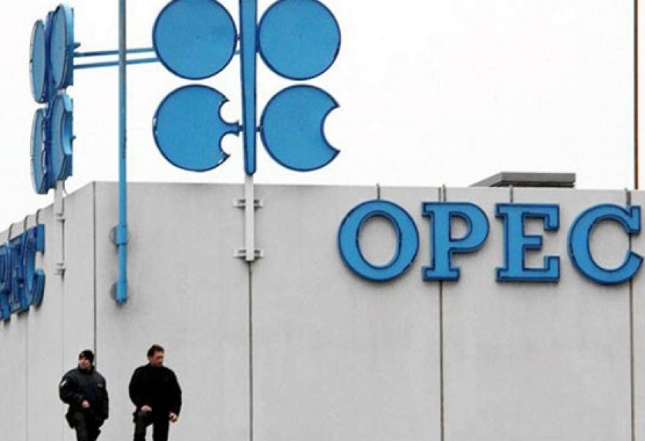 OPEC-in neft hasilatı yanvarda azalıb