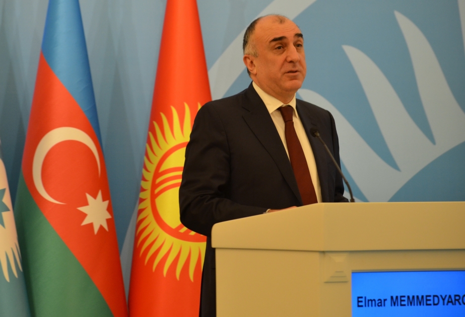 埃尔马尔·马梅德亚罗夫: 阿塞拜疆一贯重视发展与伊斯兰国家的合作