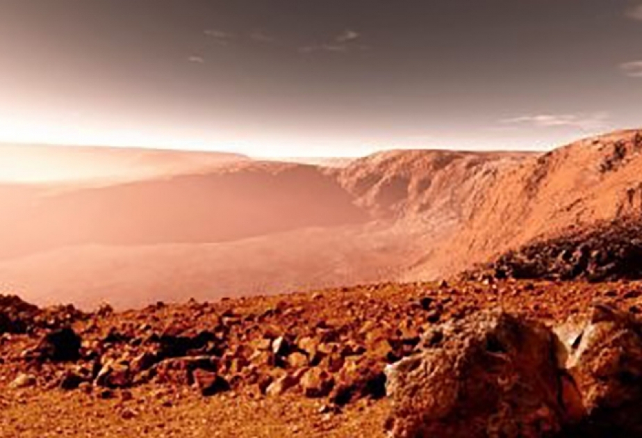 NASA планируют выращивать на Марсе продукты питания