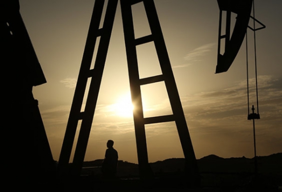 OPEC: Keçən ay qlobal neft təklifi gündəlik 210 min barrel azalıb