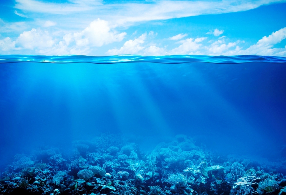 Учёные: Мировой океан стал нагреваться быстрее