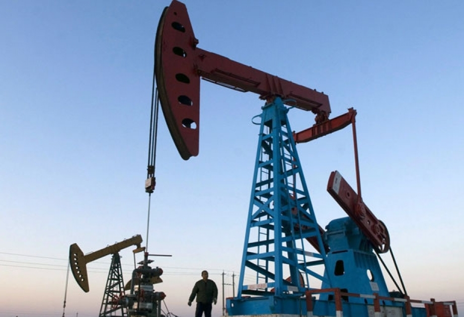 Rusiya Arktikada neft axtarışına 600 milyard dollar xərcləyəcək
