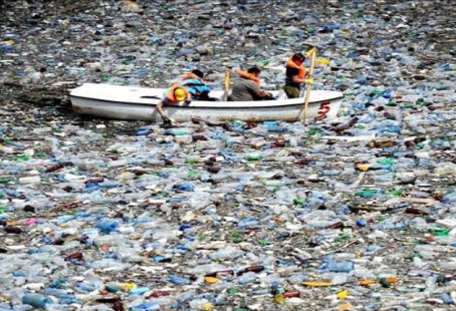 Ozeane können Coca-Colas Plastik nicht mehr vertragen